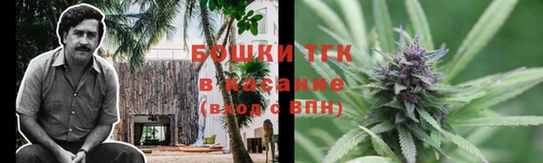 трава Покачи