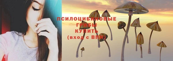 трава Покачи