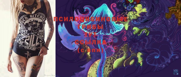 соль ск Рославль