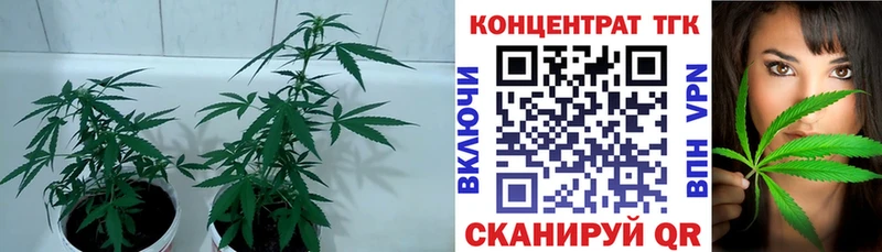 ТГК концентрат  наркотики  Пошехонье 